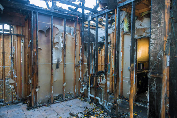 Professional Smoke Odor Removal technician working in Riverside, MD